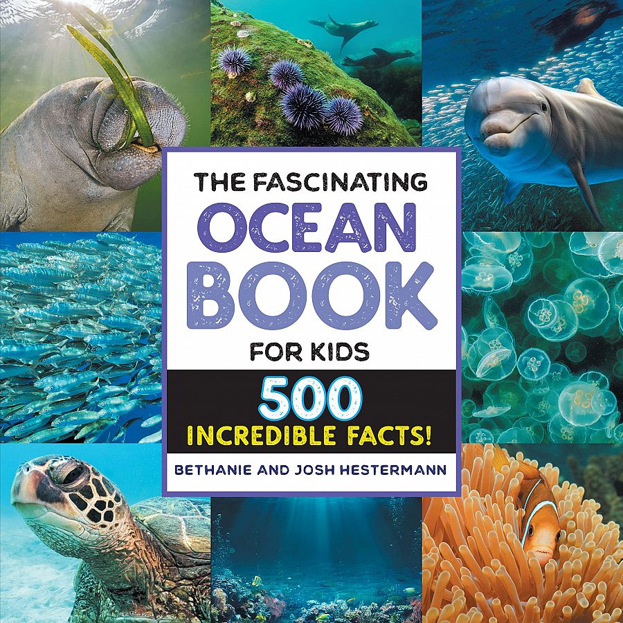 The Fascinating Ocean Book for Kids book cover
